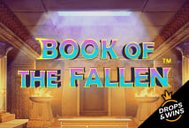Book Of The Fallen